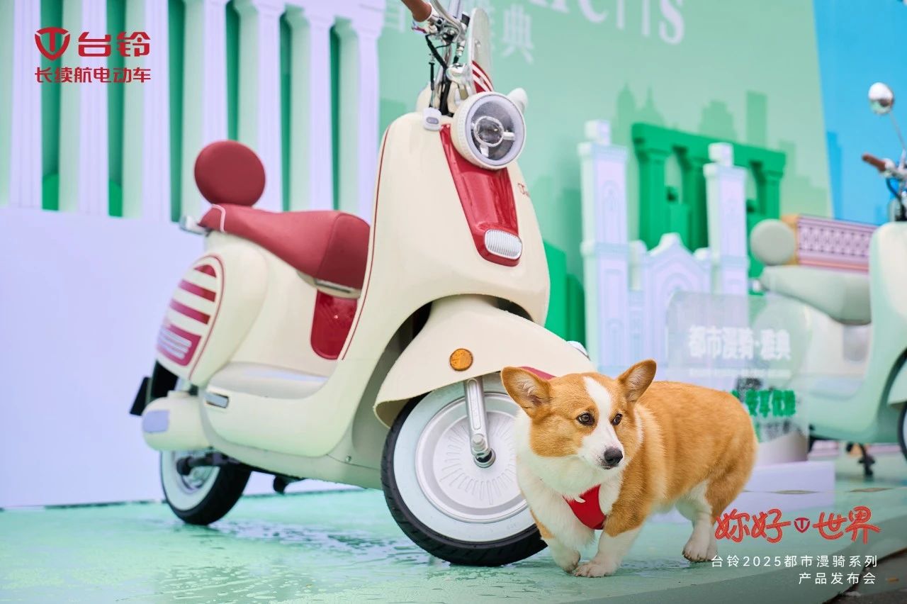 臺鈴長續(xù)航電動車